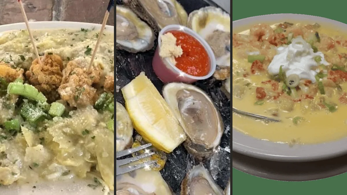 Oysters served in an easygoing dining room.