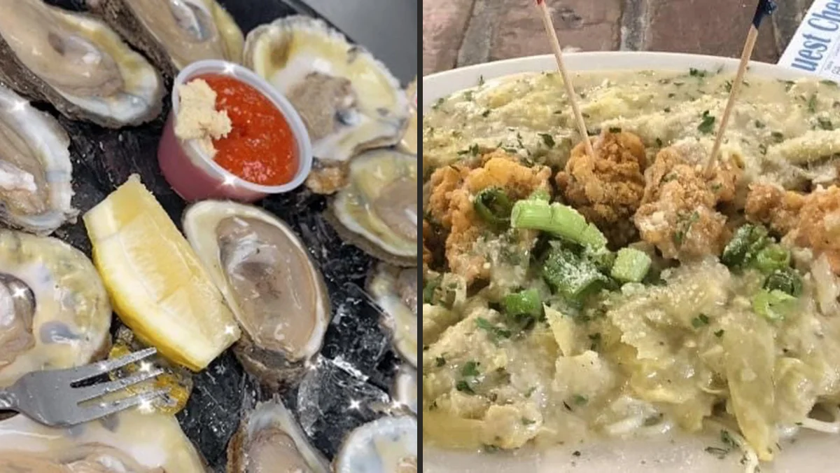 Oysters served in an easygoing dining room.